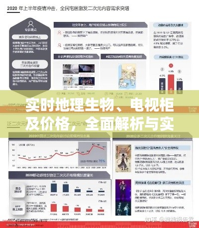 实时地理生物、电视柜及价格,全面解析与实用指南