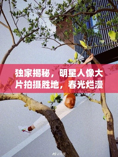 独家揭秘,明星人像大片拍摄胜地,春光烂漫新坐标打卡指南!