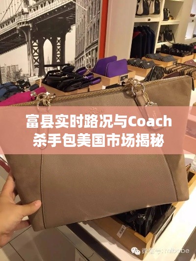 富县实时路况与Coach杀手包美国市场揭秘