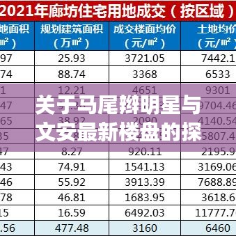 关于马尾辫明星与文安最新楼盘的探讨