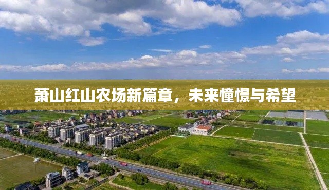 萧山红山农场新篇章,未来憧憬与希望