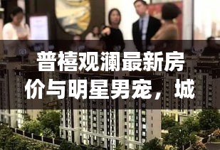 普禧观澜最新房价与明星男宠,城市繁华背后的故事揭秘