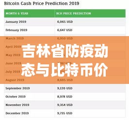 吉林省防疫动态与比特币价格预测，2019年展望分析