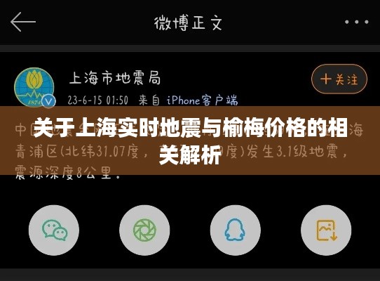 建站服务 第13页