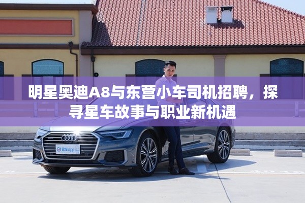 明星奥迪A8与东营小车司机招聘，探寻星车故事与职业新机遇