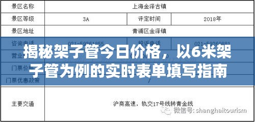 揭秘架子管今日价格,以6米架子管为例的实时表单填写指南