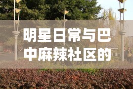 明星日常与巴中麻辣社区的最新动态交流