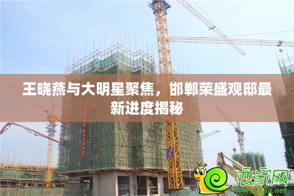 王晓燕与大明星聚焦，邯郸荣盛观邸最新进度揭秘