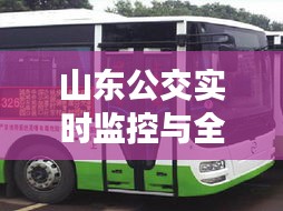 山东公交实时监控与全球康价格,智能公共交通引领智能生活新探索