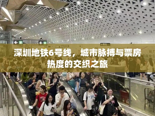 深圳地铁6号线,城市脉搏与票房热度的交织之旅
