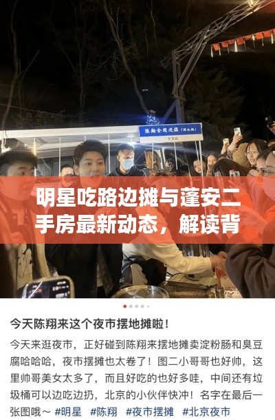 明星吃路边摊与蓬安二手房最新动态,解读背后的真实含义与防范虚假宣传