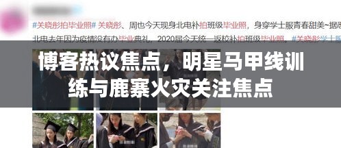 博客热议焦点，明星马甲线训练与鹿寨火灾关注焦点