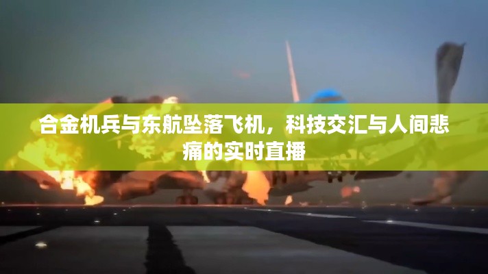 合金机兵与东航坠落飞机，科技交汇与人间悲痛的实时直播