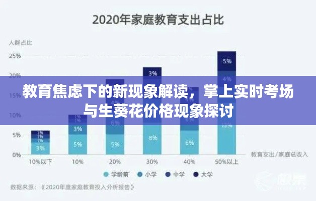 教育焦虑下的新现象解读,掌上实时考场与生葵花价格现象探讨