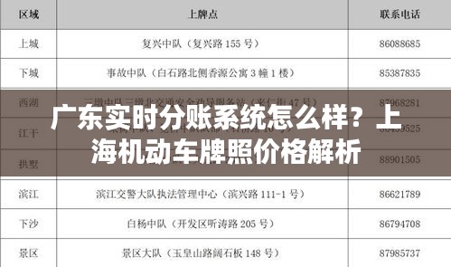广东实时分账系统怎么样?上海机动车牌照价格解析