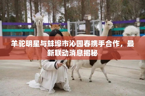 羊驼明星与蚌埠市沁园春携手合作,最新联动消息揭秘