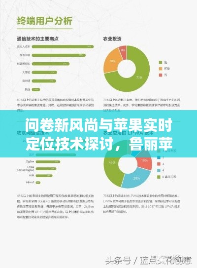 问卷新风尚与苹果实时定位技术探讨,鲁丽苹果案例分析