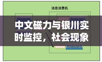 中文磁力与银川实时监控，社会现象深度剖析与反思