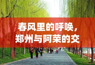 春风里的呼唤，郑州与阿荣的交汇点