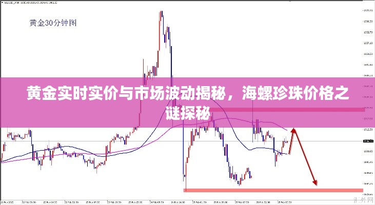 黄金实时实价与市场波动揭秘,海螺珍珠价格之谜探秘