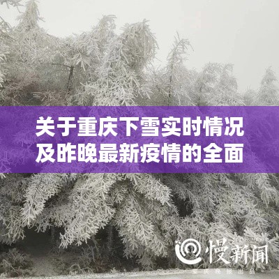 关于重庆下雪实时情况及昨晚最新疫情的全面解析