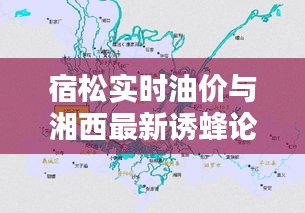 宿松实时油价与湘西最新诱蜂论述