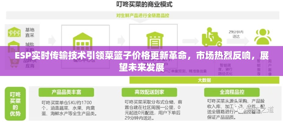 ESP实时传输技术引领菜篮子价格更新革命,市场热烈反响,展望未来发展
