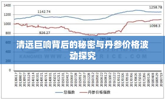 清远巨响背后的秘密与丹参价格波动探究