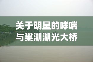 关于明星的哮喘与巢湖湖光大桥最新动态的深度剖析