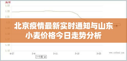 北京疫情最新实时通知与山东小麦价格今日走势分析