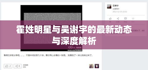 霍姓明星与吴谢宇的最新动态与深度解析