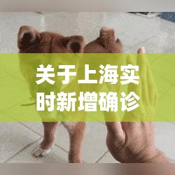 关于上海实时新增确诊数据与白色中华田园犬价格的相关分析