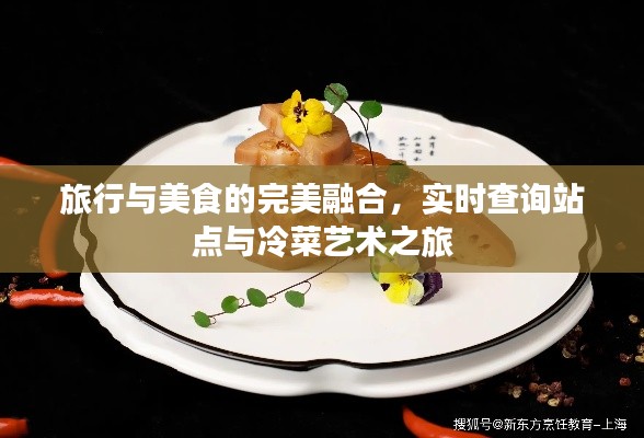 旅行与美食的完美融合，实时查询站点与冷菜艺术之旅