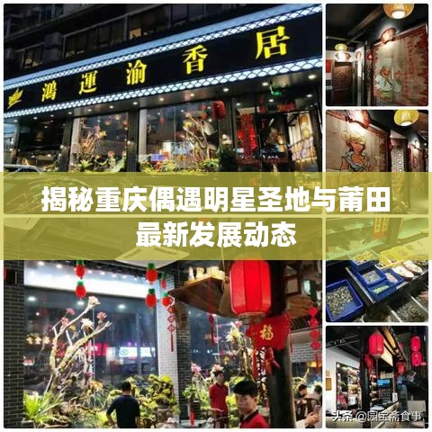 揭秘重庆偶遇明星圣地与莆田最新发展动态