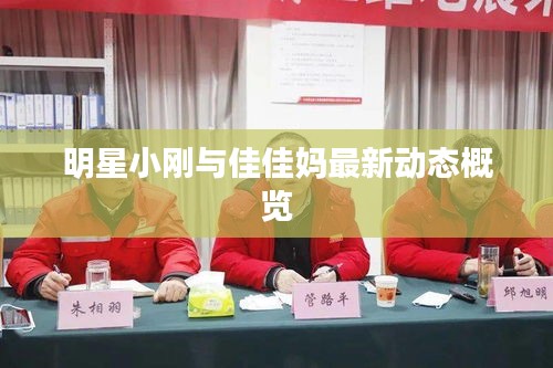 明星小刚与佳佳妈最新动态概览