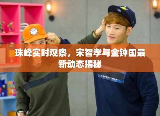 珠峰实时观察，宋智孝与金钟国最新动态揭秘