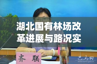 湖北国有林场改革进展与路况实时播报,最新动态,不容错过!