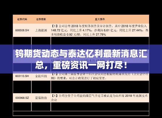 钨期货动态与泰达亿利最新消息汇总,重磅资讯一网打尽!