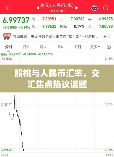 殷桃与人民币汇率,交汇焦点热议话题