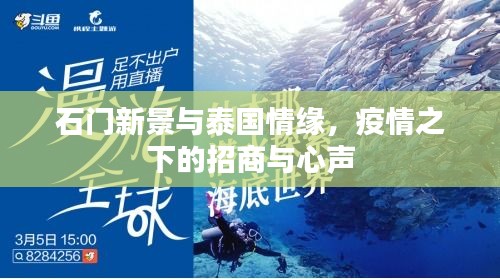 石门新景与泰国情缘，疫情之下的招商与心声