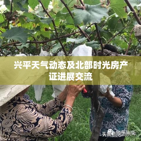 兴平天气动态及北部时光房产证进展交流