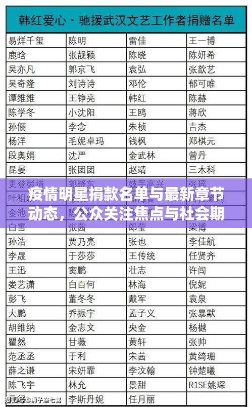 疫情明星捐款名单与最新章节动态,公众关注焦点与社会期待共鸣一览