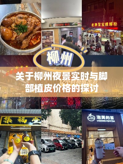 建站服务 第12页