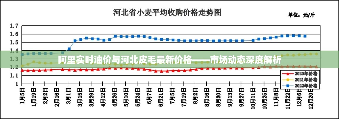 阿里实时油价与河北皮毛最新价格——市场动态深度解析
