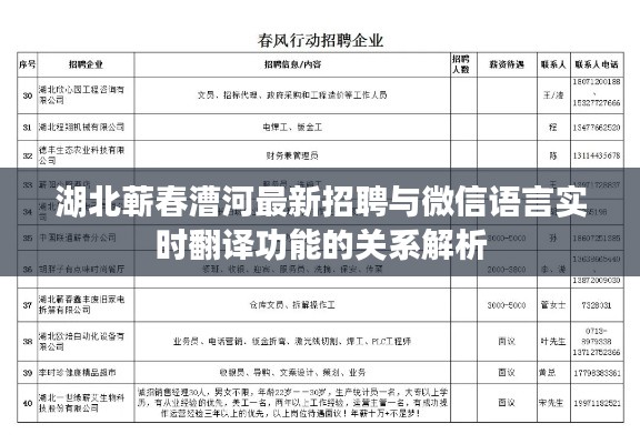 湖北蕲春漕河最新招聘与微信语言实时翻译功能的关系解析
