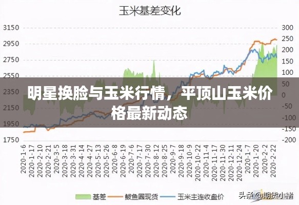 明星换脸与玉米行情,平顶山玉米价格最新动态