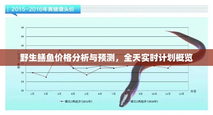 网站案例 第11页