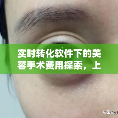 实时转化软件下的美容手术费用探索,上海九院双眼皮手术价格揭秘