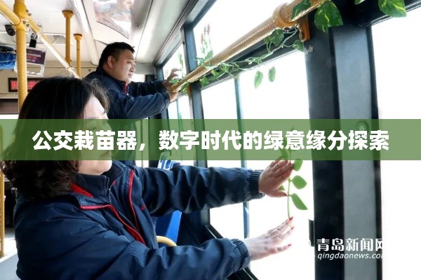 公交栽苗器,数字时代的绿意缘分探索