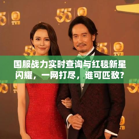 国服战力实时查询与红毯新星闪耀,一网打尽,谁可匹敌?